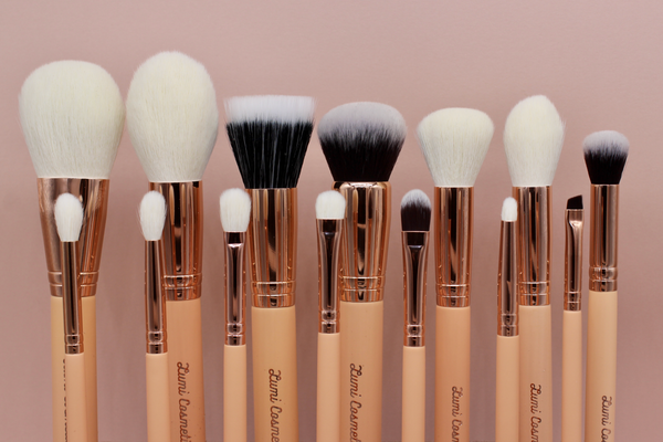 14 PIECE 'MASTER COLLECTION' FULL BRUSH SET
