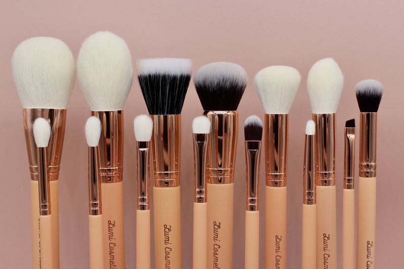 14 PIECE 'MASTER COLLECTION' FULL BRUSH SET